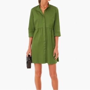 Tuckernuck green royal shirt dress (L)